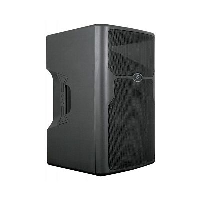 Peavey PVXp 15