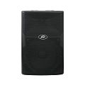 Peavey PVXp 15